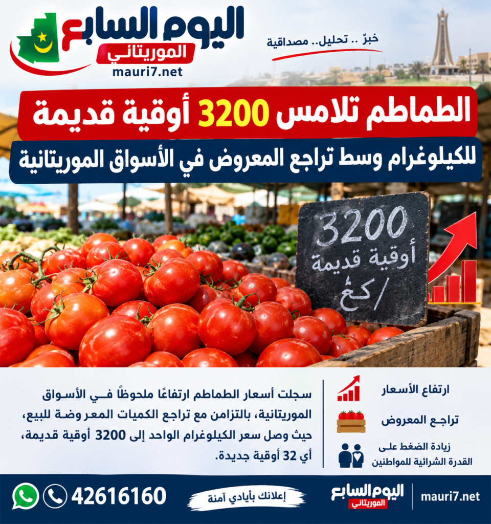 الطماطم تلامس 3200 أوقية قديمة للكيلوغرام وسط تراجع المعروض في الأسواق الموريتانية سجلت أسعار الطماطم ارتفاعًا ملحوظًا في